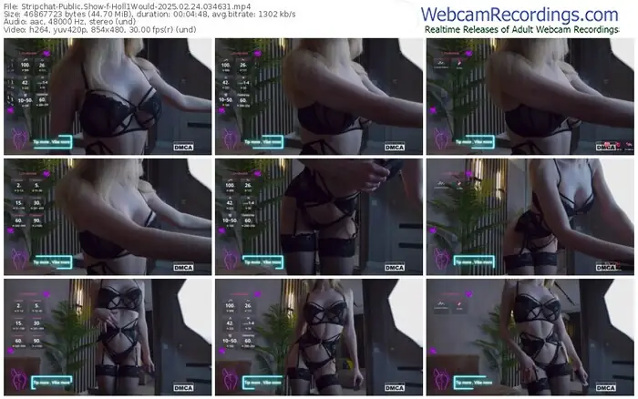 stripchat-holl1would-02-24-2025-03-46-31