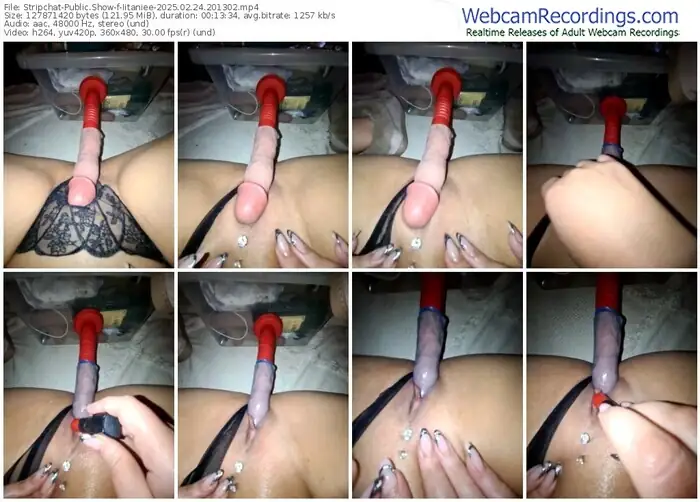 stripchat-iitaniee-02-24-2025-20-13-02