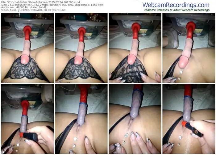 stripchat-iitaniee-02-24-2025-20-15-00