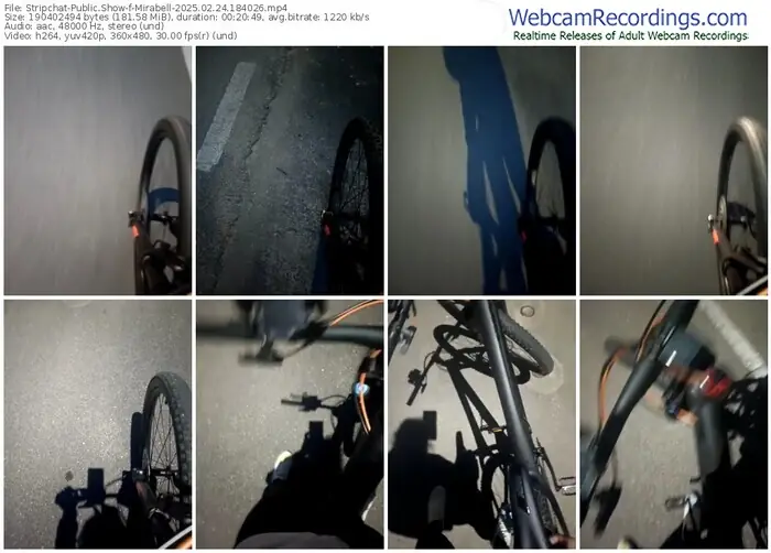 stripchat-mirabell-02-24-2025-18-40-26