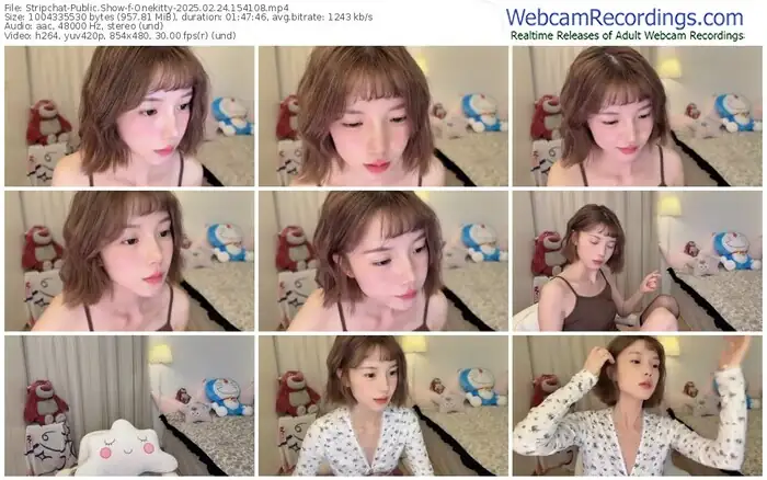 stripchat-onekitty-02-24-2025-15-41-08