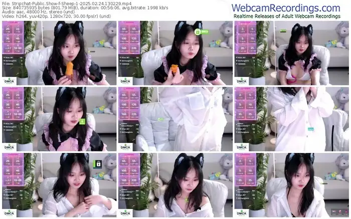 stripchat-sheep-1-02-24-2025-13-02-29