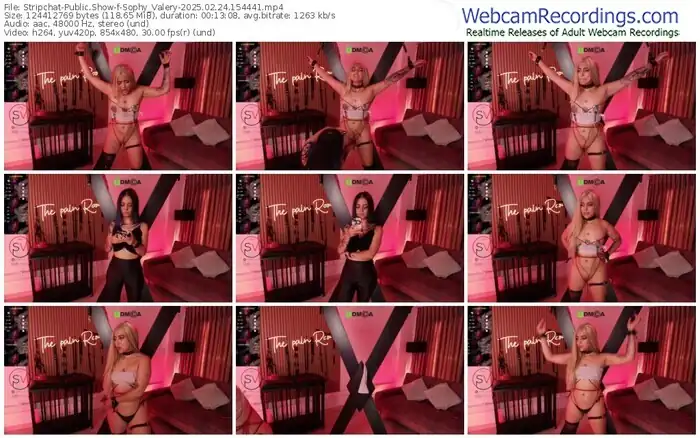 stripchat-sophy_valery-02-24-2025-15-44-41