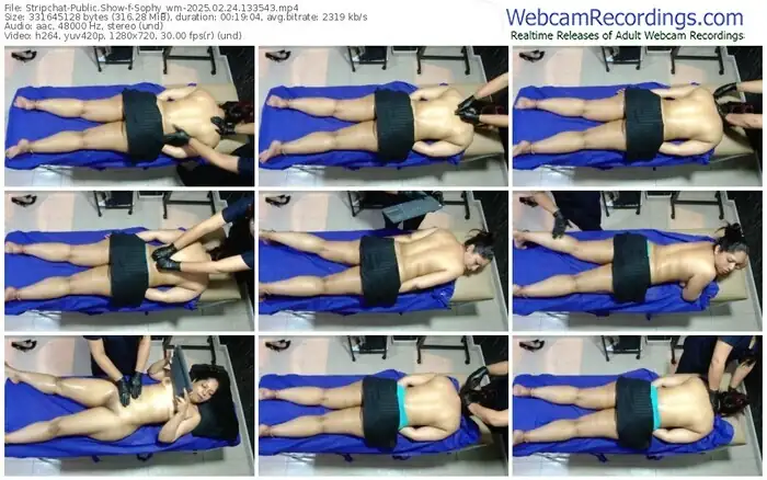 stripchat-sophy_wm-02-24-2025-13-35-43