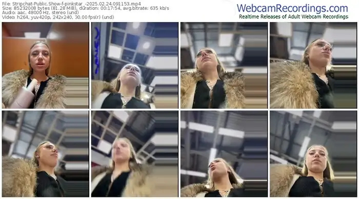 stripchat-pinkstar_-02-24-2025-09-11-53