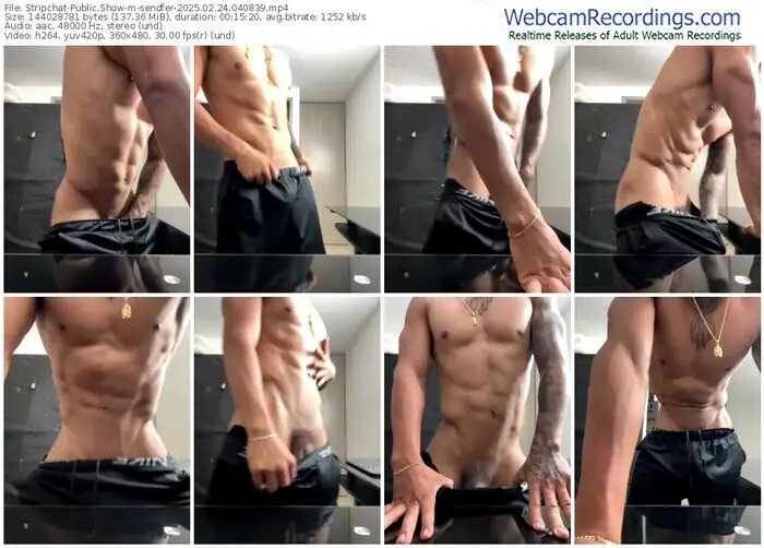 stripchat-sendfer-02-24-2025-04-08-39