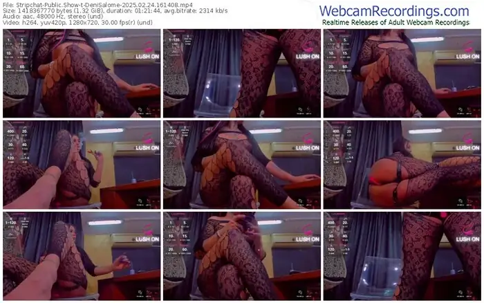 stripchat-denisalome-02-24-2025-16-14-08