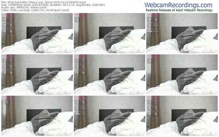 stripchat-july_terner-02-24-2025-09-24-56