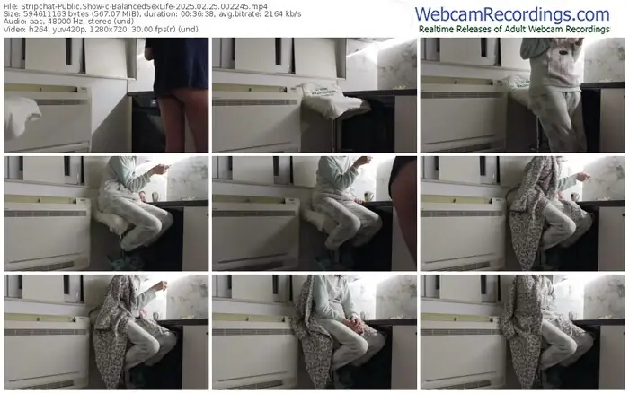stripchat-balancedsexlife-02-25-2025-00-22-45