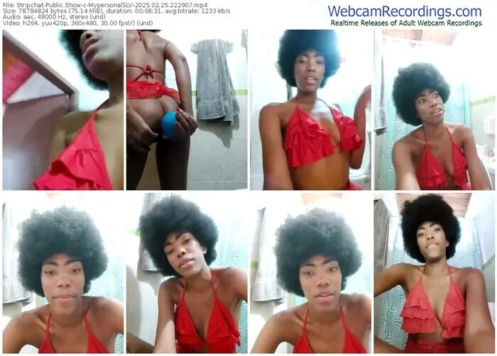 stripchat-mypersonalslv-02-25-2025-22-29-07