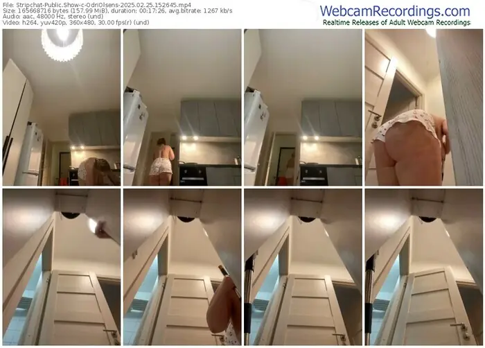 stripchat-odriolsens-02-25-2025-15-26-45