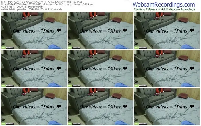 stripchat-hot_true_love-02-25-2025-01-06-47