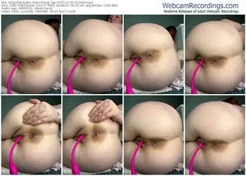 stripchat-anal_top-02-25-2025-02-29-56