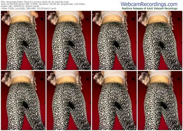 stripchat-ceyceys-02-25-2025-18-16-28
