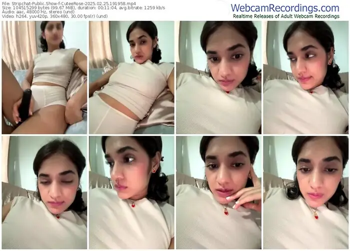 stripchat-cuteerose-02-25-2025-19-19-58