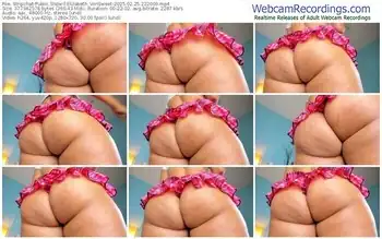 stripchat-elizabeth_vonsweet-02-25-2025-22-20-09