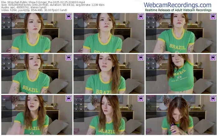 stripchat-ginger_pie-02-25-2025-22-40-03