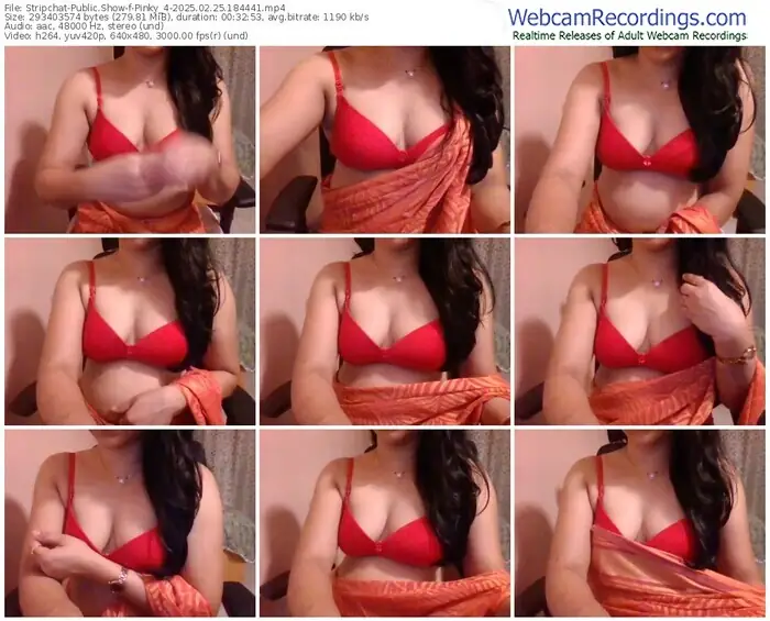 stripchat-pinky_4-02-25-2025-18-44-41
