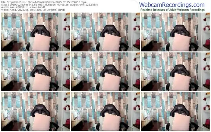 stripchat-zenaidasasha-02-25-2025-12-46-55