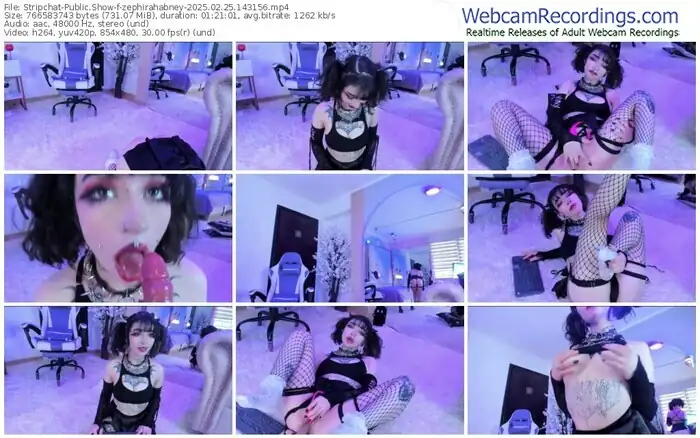 stripchat-zephirahabney-02-25-2025-14-31-56