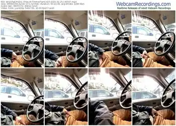 stripchat-themechanic420-02-25-2025-14-05-07