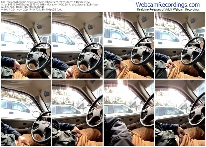 stripchat-themechanic420-02-25-2025-14-05-07