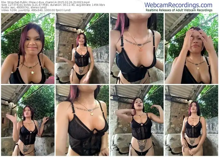 stripchat-eva_charm14-02-26-2025-21-00-23