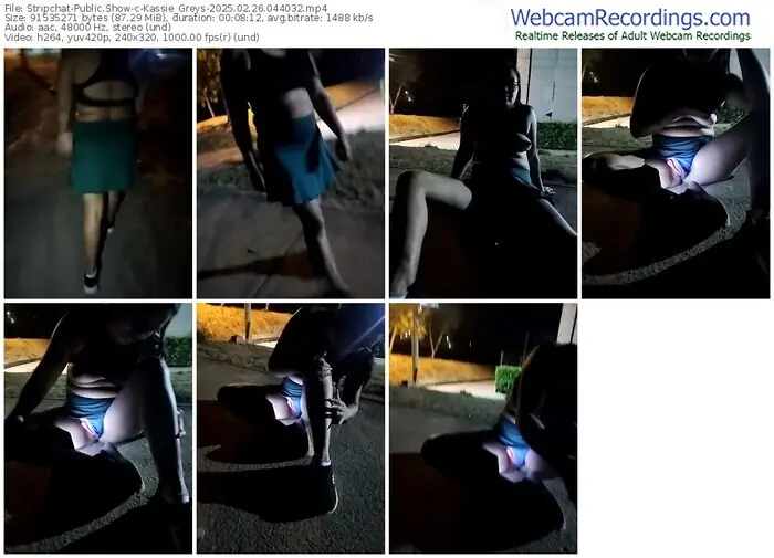 stripchat-kassie_greys-02-26-2025-04-40-32