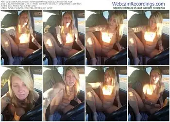 stripchat-sheissomething-02-26-2025-00-04-33