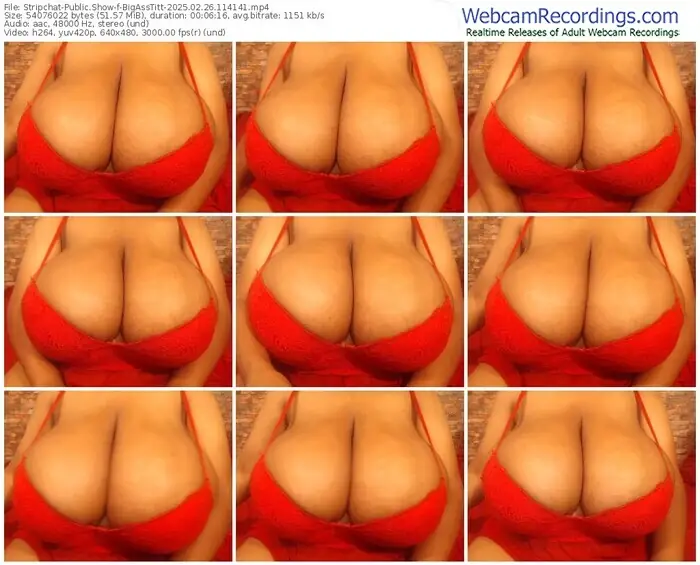 stripchat-bigasstitt-02-26-2025-11-41-41