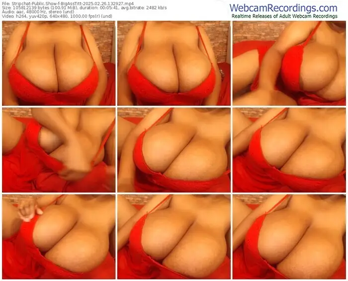 stripchat-bigasstitt-02-26-2025-13-29-27