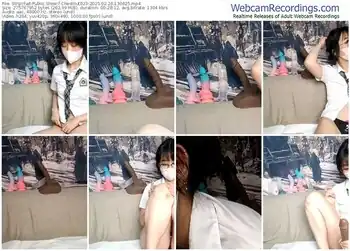 stripchat-chestnut023-02-26-2025-13-06-25