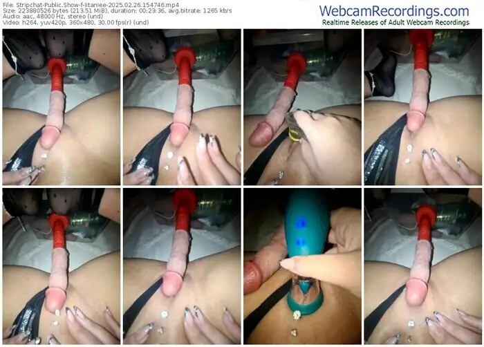 stripchat-iitaniee-02-26-2025-15-47-46