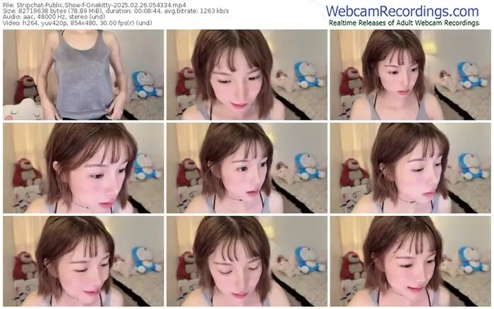 stripchat-onekitty-02-26-2025-05-43-34