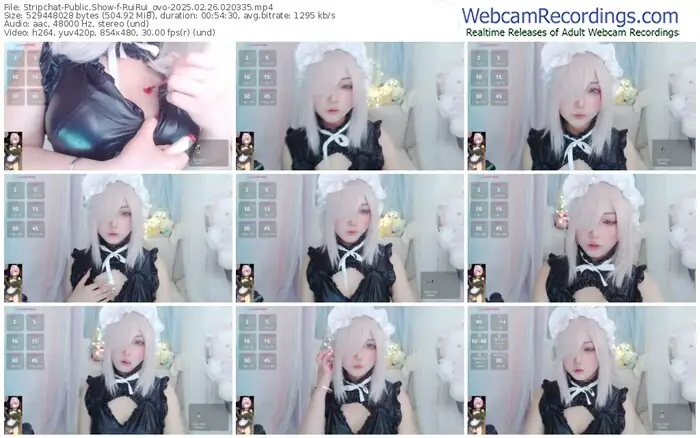 stripchat-ruirui_ovo-02-26-2025-02-03-35