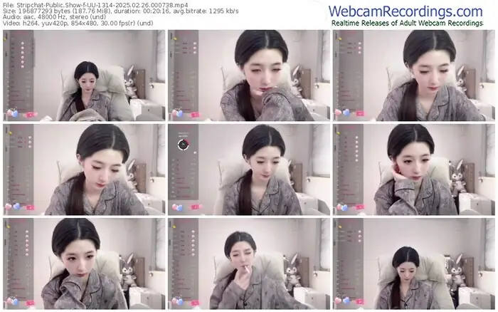 stripchat-uu-1314-02-26-2025-00-07-38