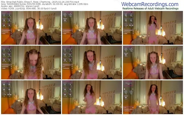stripchat-_rose_charming_-02-26-2025-23-07-54