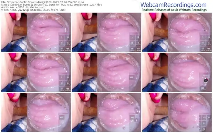 stripchat-danigirl866-02-26-2025-05-45-05