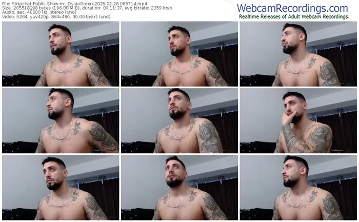 stripchat-_dylangreen-02-26-2025-08-57-14