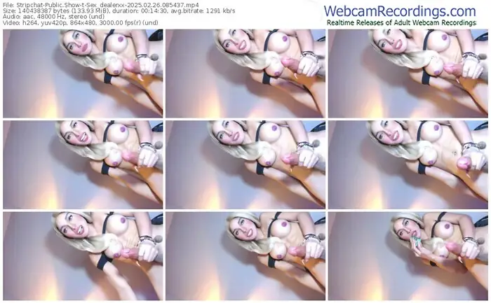 stripchat-sex_dealerxx-02-26-2025-08-54-37
