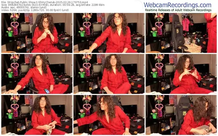 stripchat-shinycherub-02-26-2025-17-07-53