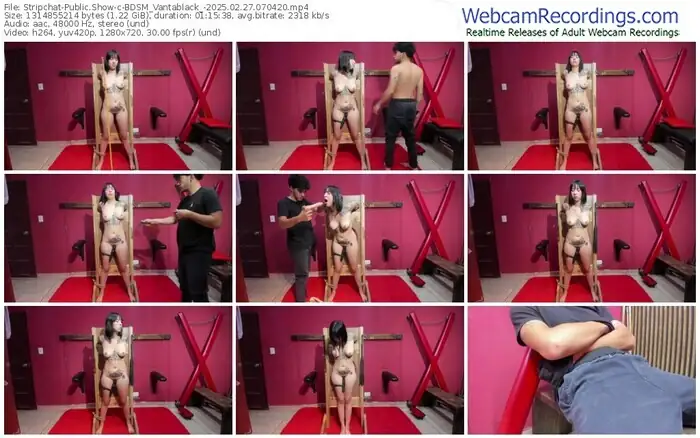 stripchat-bdsm_vantablack_-02-27-2025-07-04-20
