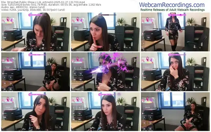 stripchat-lib_ertine32-02-27-2025-13-17-03