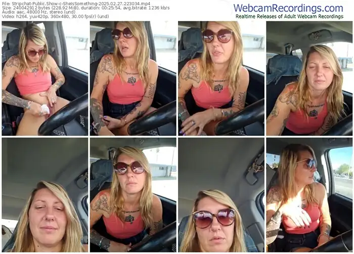 stripchat-sheissomething-02-27-2025-22-30-34