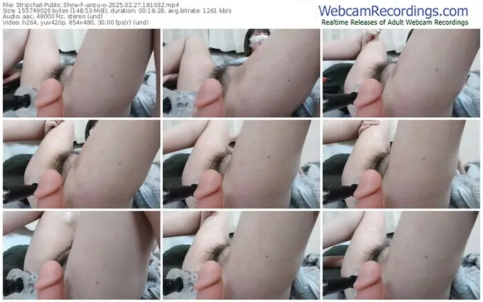 stripchat--anzu-o-02-27-2025-18-10-32