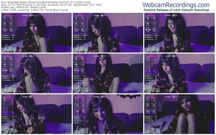 stripchat-hardcorehentai-02-27-2025-13-00-51