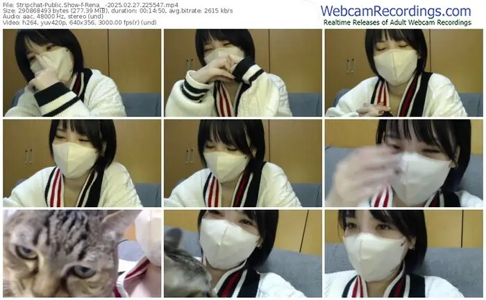 stripchat-rena__-02-27-2025-22-55-47