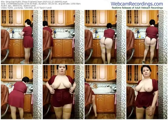 stripchat-salientclean-02-27-2025-06-06-52