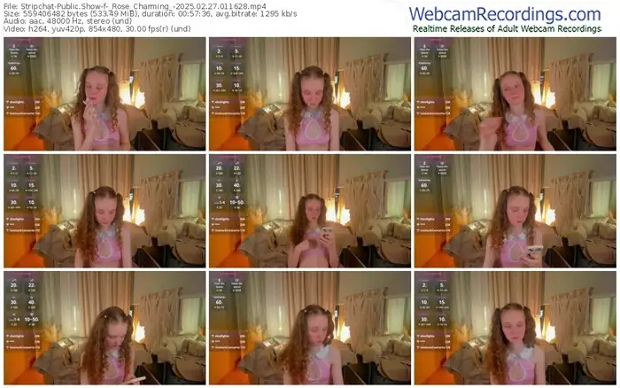 stripchat-_rose_charming_-02-27-2025-01-16-28