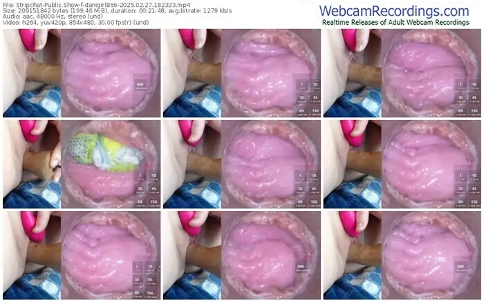 stripchat-danigirl866-02-27-2025-18-23-23